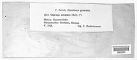 Image Associated With the Occurence